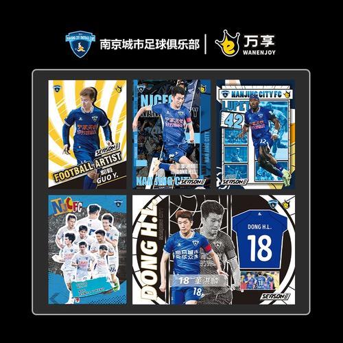 南京城市足球俱乐部名单，南京城市足球队？